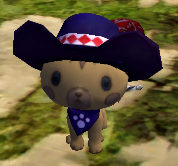 绝世小受!龙之谷宠物小布熊闪亮登场_龙之谷_