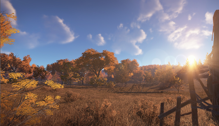 天涯明月刀客户端破解?五毒女及大量图片流出