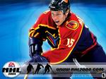 ������Ϸ_��EA Sports 2004������ϵ�б�ֽ