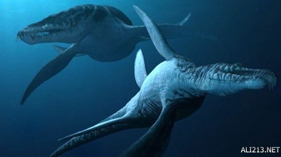 鲸鱼的祖先叫什么 1471073745_hqD253.jpg