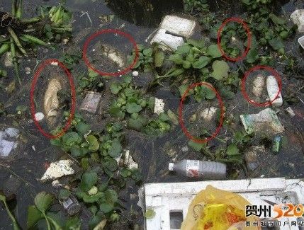 贺江水污染事件铊超标2.14倍 官方称少量超标