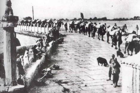 日本人对卢沟桥事变的处理方式感到后悔_历史频道_新浪网