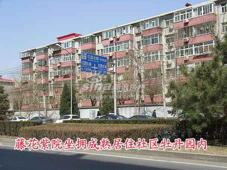 藤花紫院周边实景图