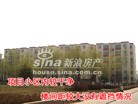 图为小区内较干净且楼间距大