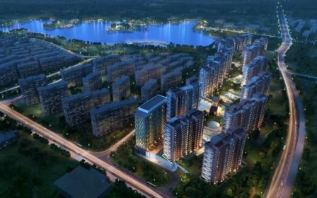 图为 项目效果图