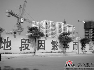 乐山租房需求大增 二手房市场景气指数升_论坛