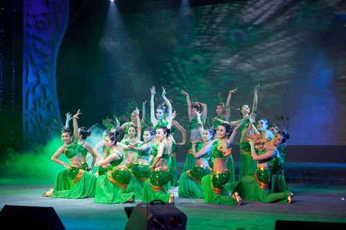 辽宁振兴生态集团2011年春节联欢晚会圆满落