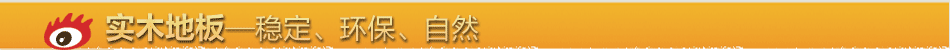 实木地板