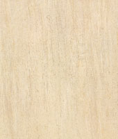 CMPA8003