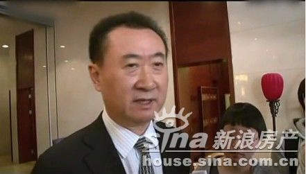 王健林就“被限制出境”答记者问