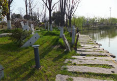圩墩遗址公园