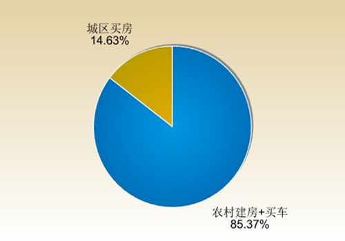 圖為論壇網(wǎng)友投票情況