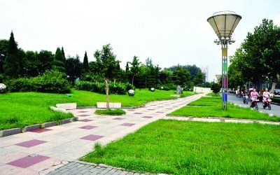 莫斯科人均绿地面积_中国人均绿地指标