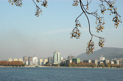 黄石乐居楼市观察 阳新精品楼盘大盘点_市场动