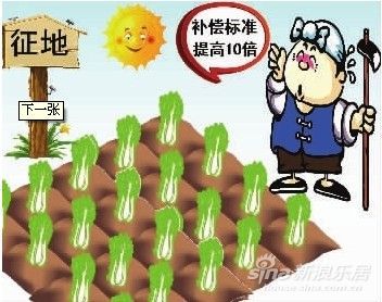 主要看气质_农民收入主要来源(2)