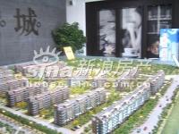 紫城 实景图 沙盘