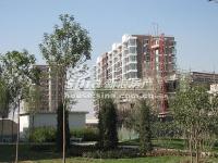 大城小镇 实景图 远景