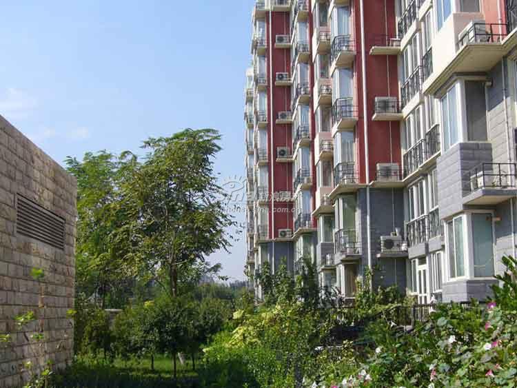 中国房子+实景图+绿化一角