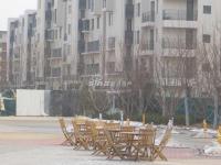金地格林小镇 实景图 售楼处