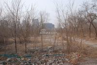 广渠路15号地 实景图 地块实景