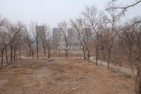 广渠路15号地 实景图 地块实景
