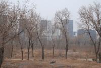 广渠路15号地 实景图 地块实景