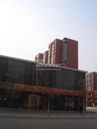 金泰城·丽湾 实景图 周边商铺