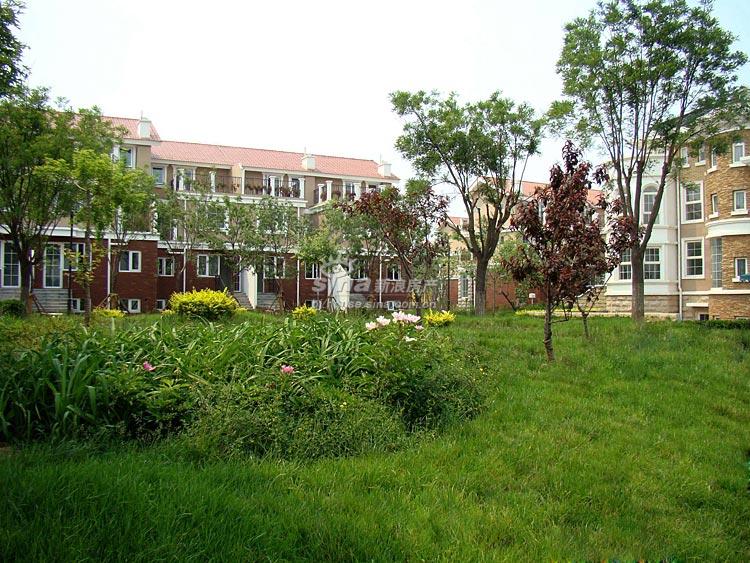 天鹅堡·归墅 实景图 社区实景