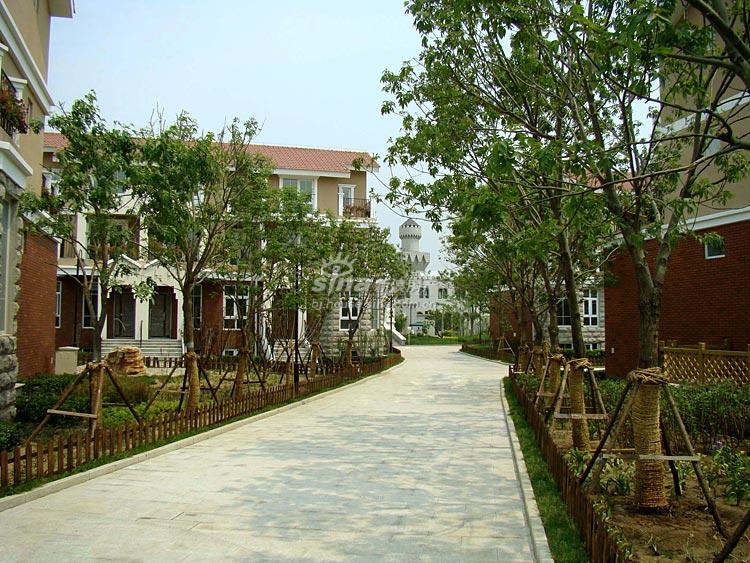 天鹅堡·归墅 实景图 社区实景