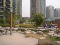 怡海花园（六期） 实景图 项目环境