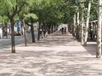 ������Village ʵ��ͼ �ܱߵ�·