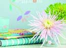 ��֦��ǽ�������DIY