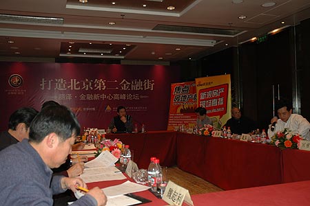 实录：丽泽-新金融中心论坛举行(组图)