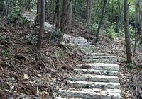 和家园登山游步道