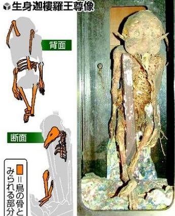 X线CT解析表明乌鸦天狗本体是鹰骨(图)_日本_新浪房产_新浪网
