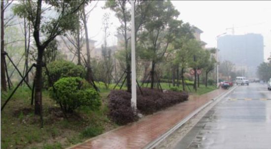 好雨知情趣雨中的熙园别有情趣a情趣脱俗美时节固定架铐脚图片