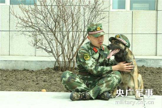 图为边防官兵成业与警犬玩耍。 