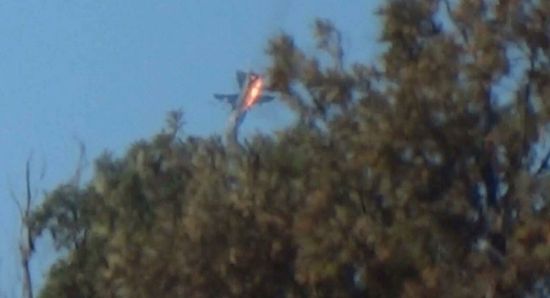 ����ս�������������