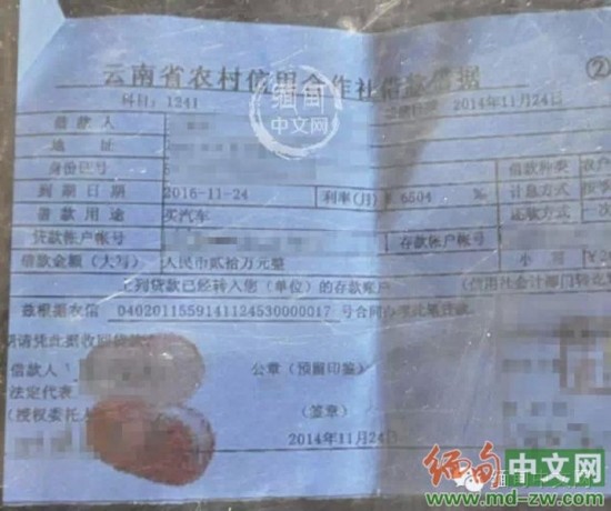 外媒：缅军去年释放逾400娃娃兵被征作人体探雷