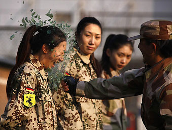 逃婚女保镖，一部短剧的魅力与观看指南，逃婚女保镖短剧魅力与观看指南