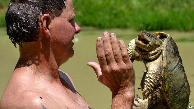 Ernie 'Turtleman' Brown holds a turtle