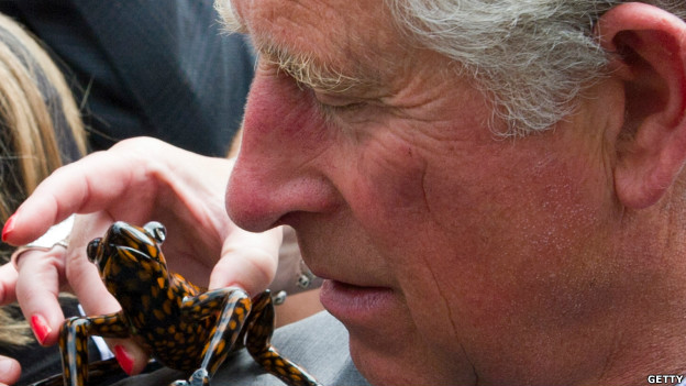 Prince Charles supports WWF
