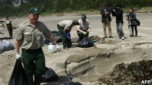 Oregon Department of Fish and Wildlife staff on Oregon beach burying marine organisms which drifted at sea after the 2011 Japan earthquake and tsunami