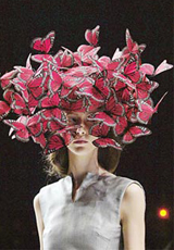 ЯñʦPhilip Treacy