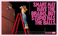 1. Smart may have the brains, but stupid has the balls. ɵ֣
