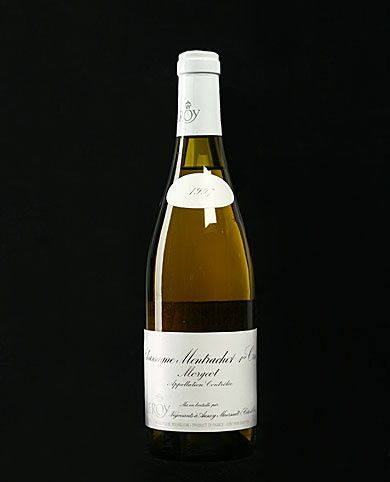 MontrachetܳѾ