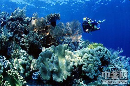 ���ں�Ͽ ����Ǳˮ����ʹ֮��