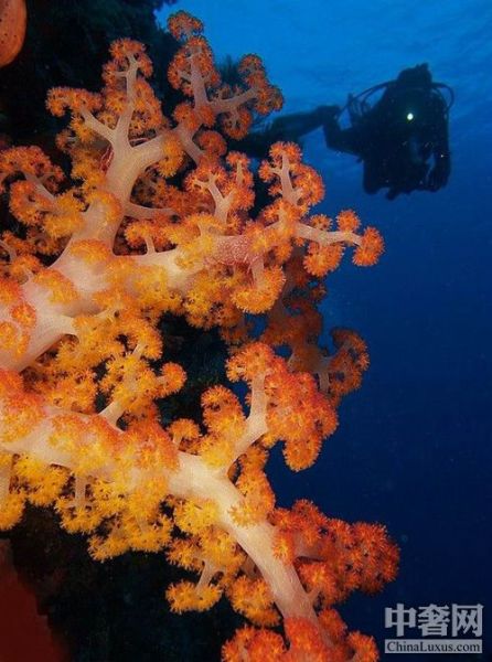 ���ں�Ͽ ����Ǳˮ����ʹ֮��