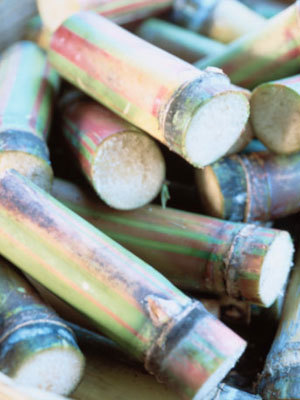 甘蔗生津止渴、润喉去燥