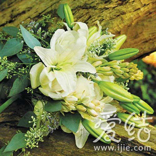 �ٺϻ�����